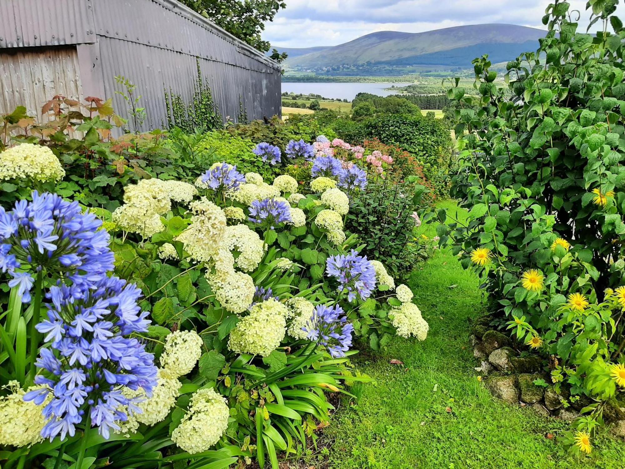 Abhainn Ri Farmhouse Блессінґтон Екстер'єр фото